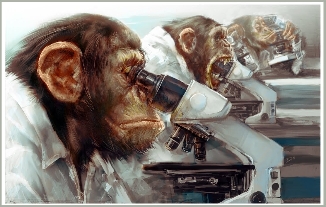 lab monkey